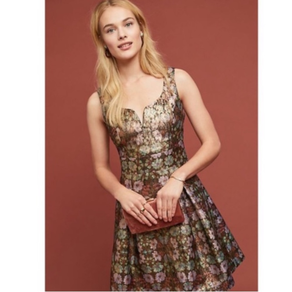 Anthropologie Erin’s brocade dress Size 4